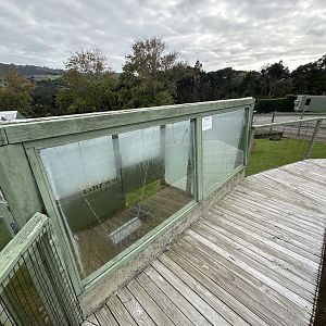 Indian Star Tortoise House