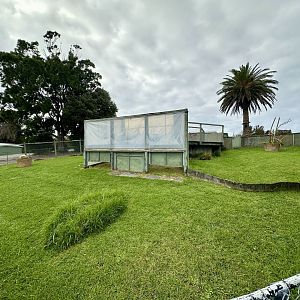 Indian Star Tortoise Exhibit