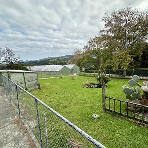 Leopard Tortoise Exhibit