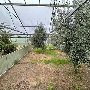 Tropical House - Exhibit 2 (Hermann’s Tortoise)