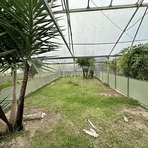 Tropical House - Exhibit 3 (Leopard Tortoise)