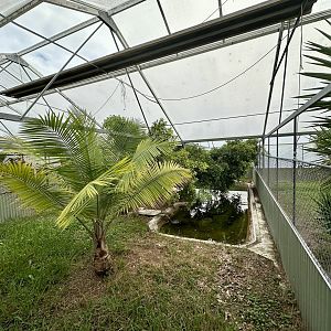 Tropical House - Exhibit 4 (American Alligator)