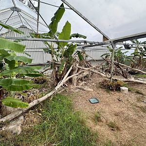 Tropical House - Exhibit 5 (Empty)