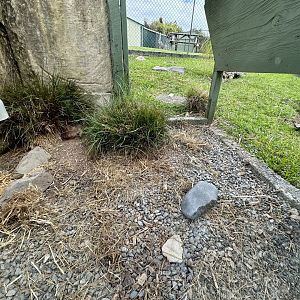 Chaco Tortoise House