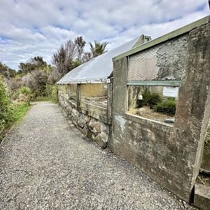 Tortoise/Turtle/Lizard Exhibits