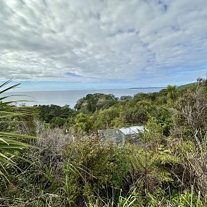 Lower Park Track (Ocean View)