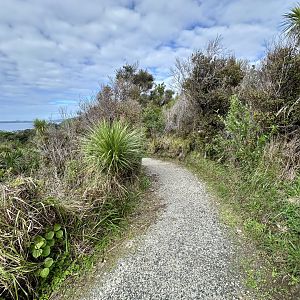 Lower Park Track (Start)