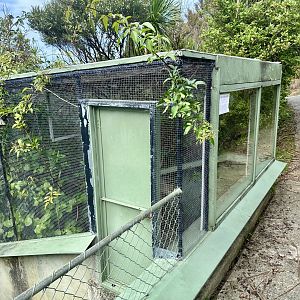 Eastern Water Dragon Exhibit