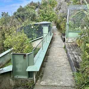 Tuatara/Eastern Water Dragon Exhibits
