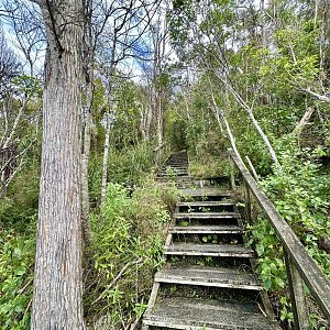 Lower Park Track (Continues)