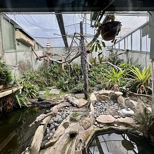Painted River Turtle Exhibit