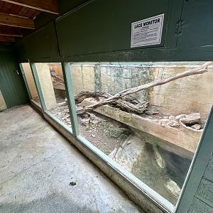 Lace Monitor Exhibit 2