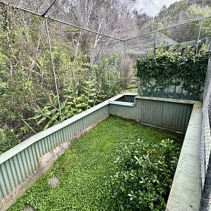Eastern Water Dragon Exhibit