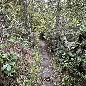 Lower Park Track (Continues)