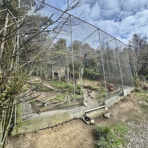 Domestic Chicken Exhibit