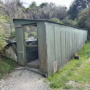 New Zealand Lizard House