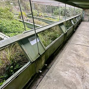 New Zealand Lizard House - Lower Tanks