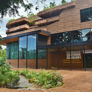 Mandai Wildlife East - Mandai Gallery (opening soon)