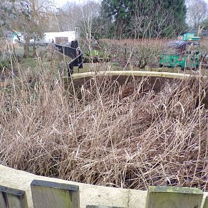 Pond shaped like a well 11.2.25