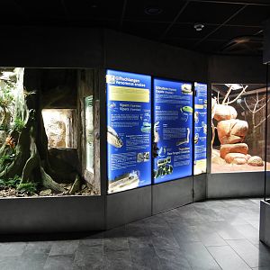 Venomous Venomous snake area