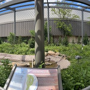 North American Prairie Aviary Panorama