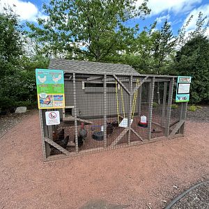 Chicken Coop - Hamill Family Play Zoo