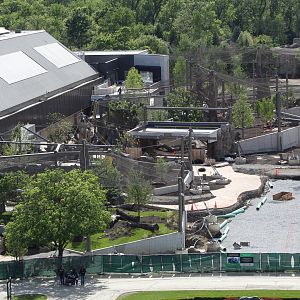 Tropical Forests Construction Progress (May 2025)