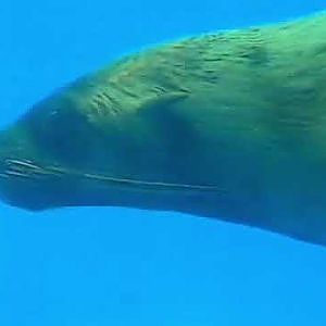 October 1992 advert for the aquarium