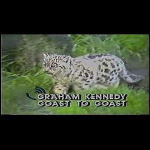 June 1989 - (few seconds) announcement of snow leopards and cubs