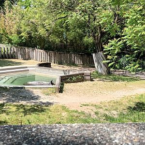 Indian Rhinoceros Enclosure