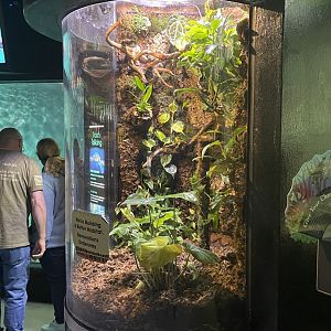 5/17/2025 - Renovated Terrarium