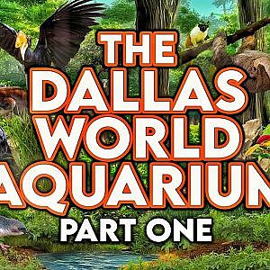 Dallas World Aquarium | PART ONE