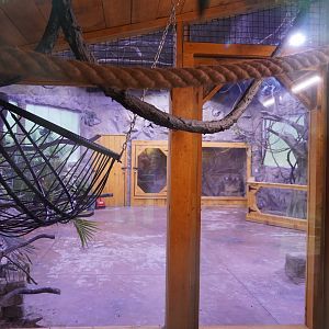 Newly renovated Rainforest building