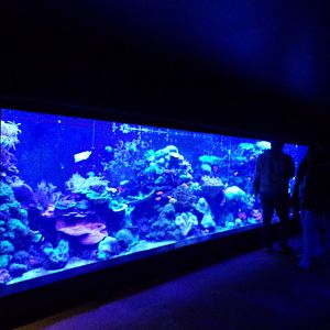 Main tank in the Tiny Giants building 11.2.25