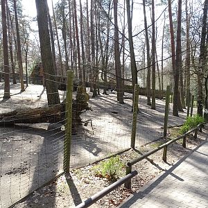 Emu, sarus crane and prairie dog enclosure