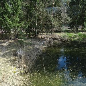 Siberian tiger enclosure
