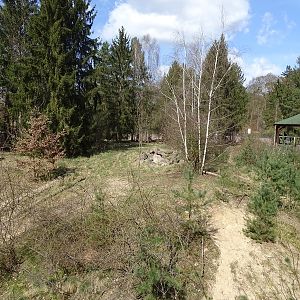 Siberian tiger enclosure