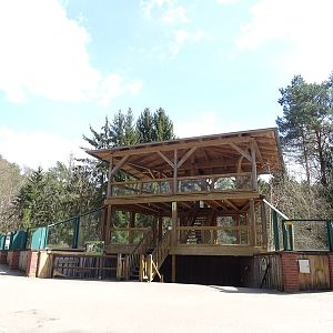 Observation deck for tiger enclosure