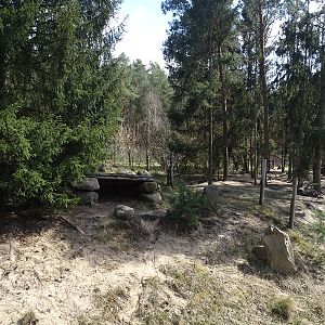 Tiger / Wolverine enclosures