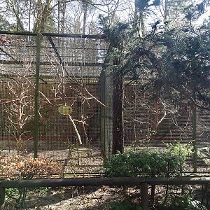 Marmoset / lorikeet enclosures