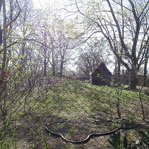 Red-crowned crane enclosure