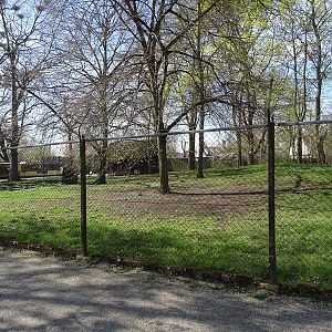 Red-crowned crane enclosure