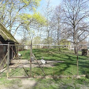 Red-crowned crane enclosure