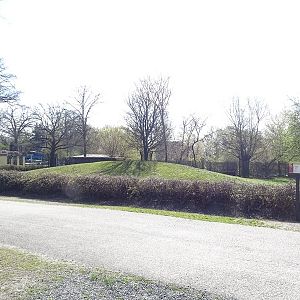 Black sable antelope enclosure