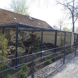 Serval enclosures