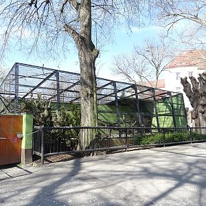 First leopard enclosure