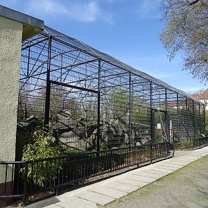 Second leopard enclosure
