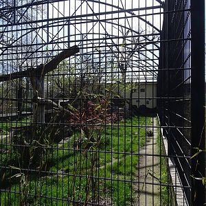 Second leopard enclosure