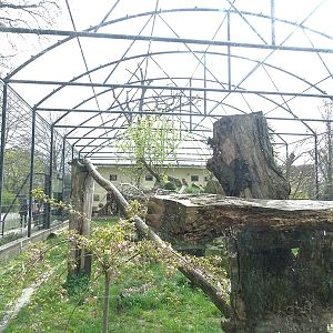 Second leopard enclosure