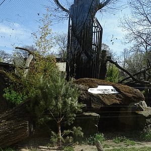 Third leopard enclosure